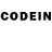 Псилоцибиновые грибы GOLDEN TEACHER Andredomus