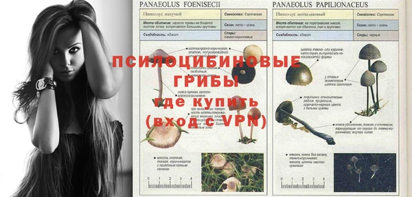 мет Надым