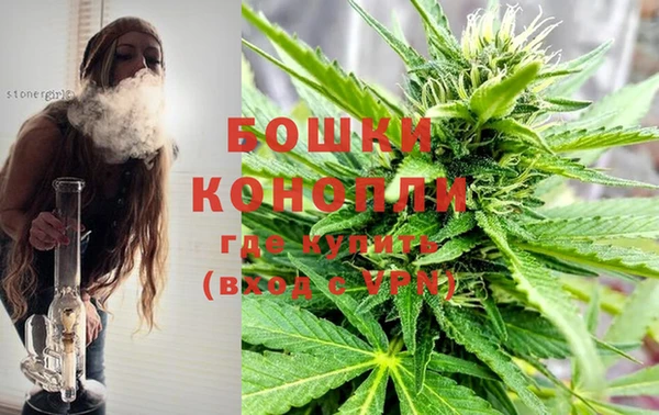 дмт Михайловск
