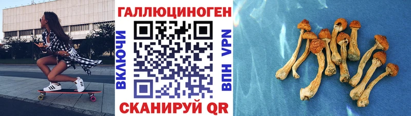Купить  Оханск  Галлюциногенные грибы прущие грибы 