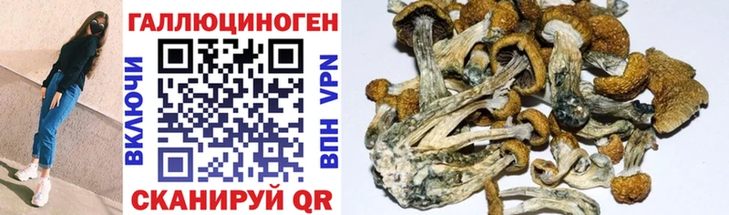 Псилоцибиновые грибы Magic Shrooms Оханск